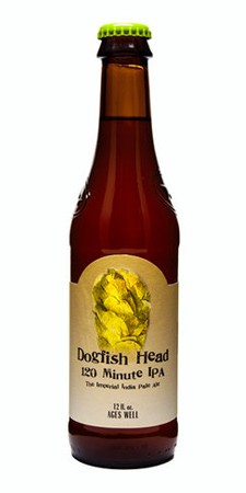 Dogfish Head 120 Minute IPA 12oz Bottle