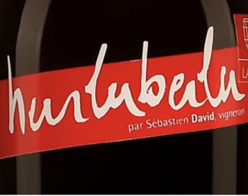 Domaine Sebastien David Hurluberlu Cabernet Franc 2019