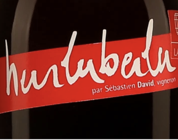 Domaine Sebastien David Hurluberlu Cabernet Franc 2021