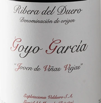 Goyo Garcia Joven de Vina Viejas 2018