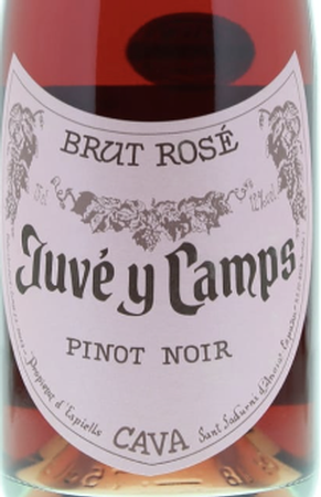 Juvé y Camps Pinot Noir Brut Rosé Cava