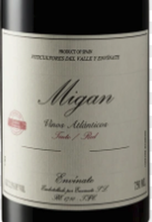 Envinate Migan Tinto 2019