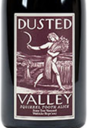Dusted Valley Squirrel Tooth Alice 2017