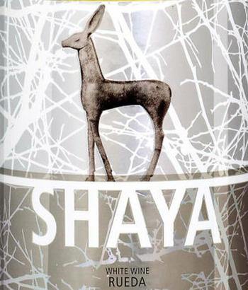 Shaya Verdejo 2019