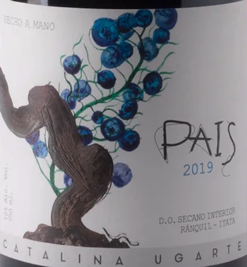 Catalina Ugarte Pais 2019