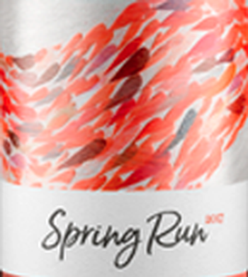 Januik Spring Run Rose 2021