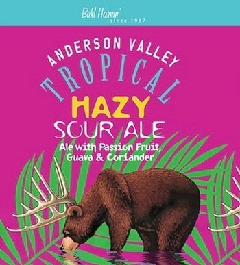 Anderson Valley Tropical Hazy Sour 12oz Can