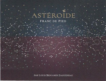 Didier Dagueneau Asteroide 2022