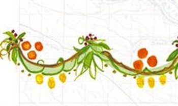 Devium Wines White Pinot Noir 2021