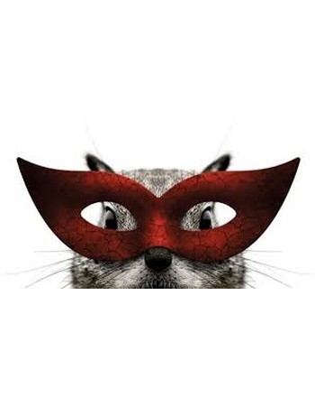Secret Squirrel Red Wine 2015