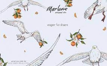 Marlowe Artisanal Eager to Share Galaxy 16oz Can
