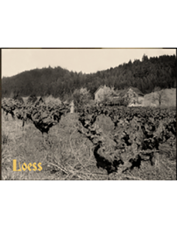 On Wine Hill Loess 2017