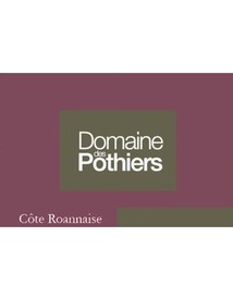 Domaine des Pothiers Cote Roannaise Domaine 2018