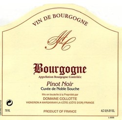 Domaine Collotte Bourgogne Cuvee de Noble Souche 2019