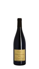 Antoine Sanzay Saumur Champigny Les Poyeux 2020