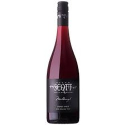 Allan Scott Pinot Noir 2022