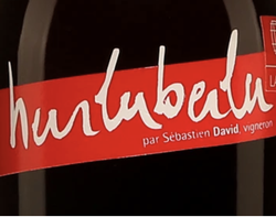 Domaine Sebastien David Hurluberlu Cabernet Franc 2021