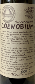 Monastero Suore Cistercensi Coenobium Lazio Bianco 2021