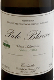 Envinate Canary Islands Palo Blanco 2020