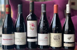 Braise-Worthy Wines 6 Pack