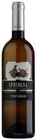 Specogna Pinot Grigio 2021