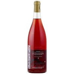 Frank Cornellisen Susucaru Rosato 2021