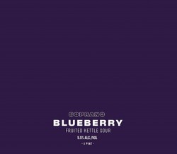 YaYa Brewing Soprano Blueberry 16oz Can