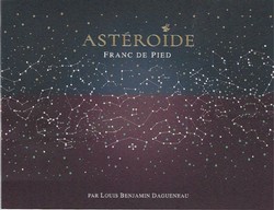 Didier Dagueneau Asteroide 2022