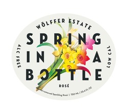 Wolffer Spring in a Bottle Sparkling Rose (Non-Alcoholic)