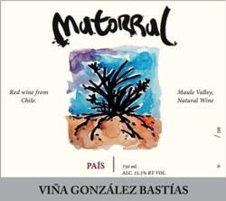 Vina Gonzalez Bastias Matorral 2019