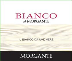 Morgante Bianco di Morgante 2023