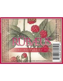 Founders Rubaeus Raspberry Ale 12oz Bottle