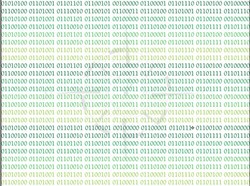 Time & Direction Binary 01110011 Syrah 2021